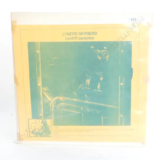 Lynyrd Skynyrd, Cardiff Peaches